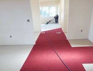 WhatsApp Image 2026-03-14 at 3.01.50 PM